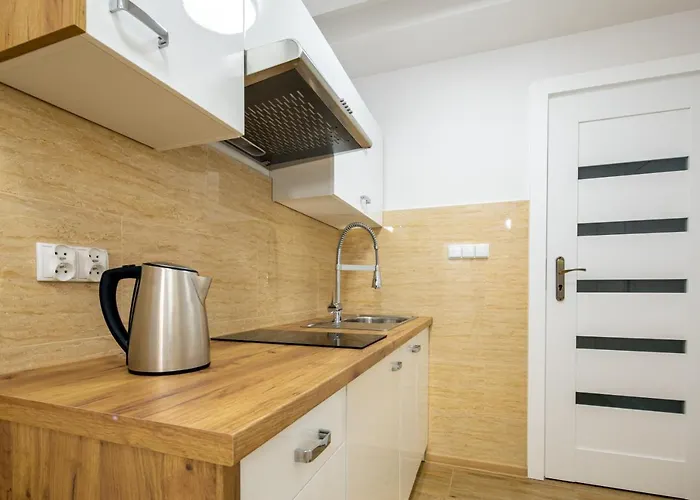 Piwniczka - Centrum 民宿